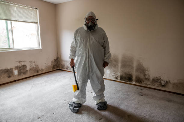 Best Biohazard Mold Removal  in Monahans, TX
